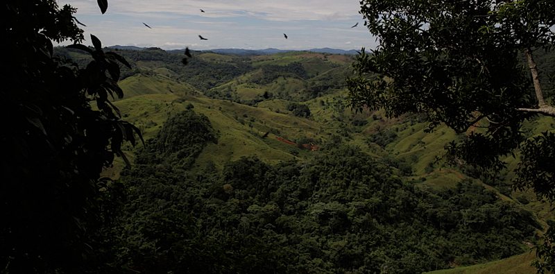 Golden Days (Remedios, Colombia, 2012)