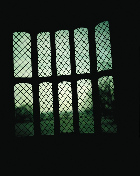 Midnight Mousetrap-Green