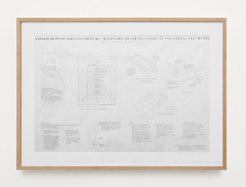 Variation From Survival Piece #2: Notations on the Ecosystem of the Cargill Salt Works