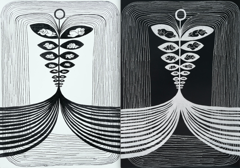 Mirror of day and night