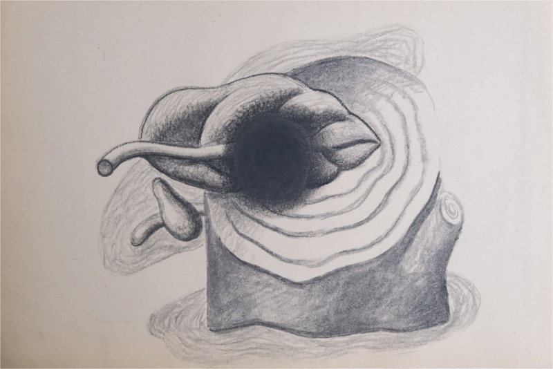 Untitled (from the series Revisionist syndrome)
