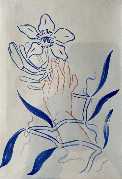 Untitled (from the series Huertos de los ch’olti)
