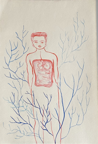 Untitled (from the series Huertos de los ch’olti)