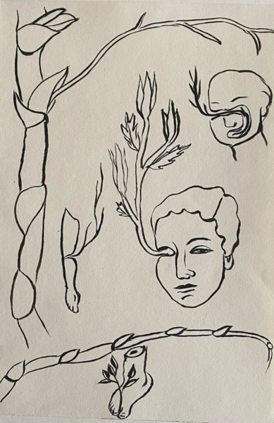 Untitled (from the series Huertos de los ch’olti)