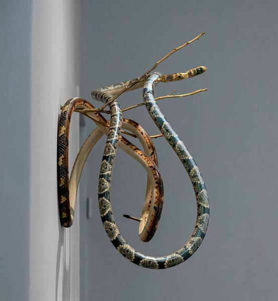 Gente Serpiente – Snake People