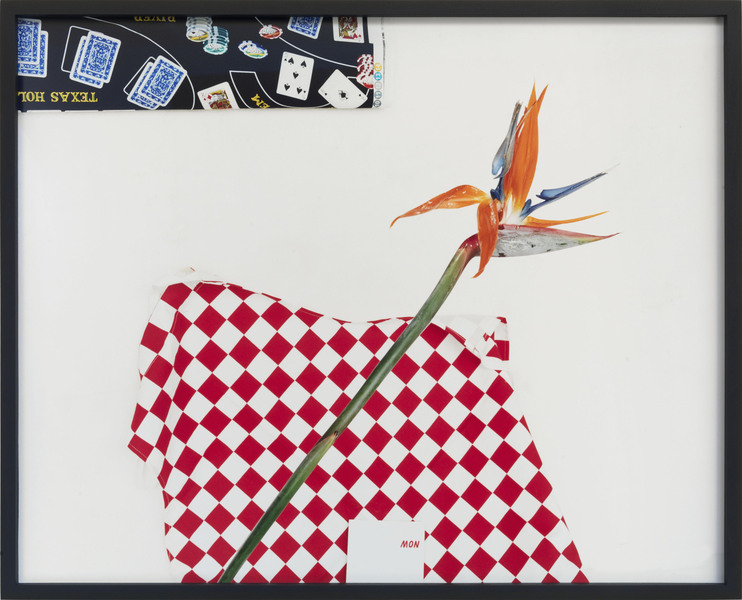 "Untitled" (Flower)