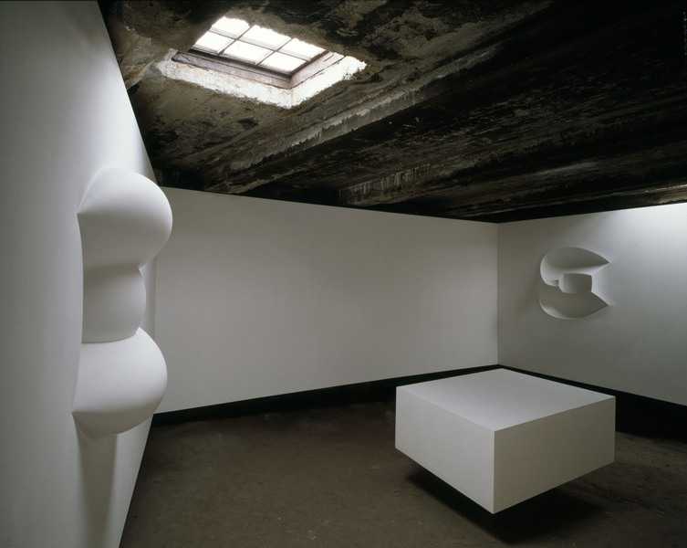 Portal to Another Dimension, Diptych (Morris/positive, Mersh/negative)